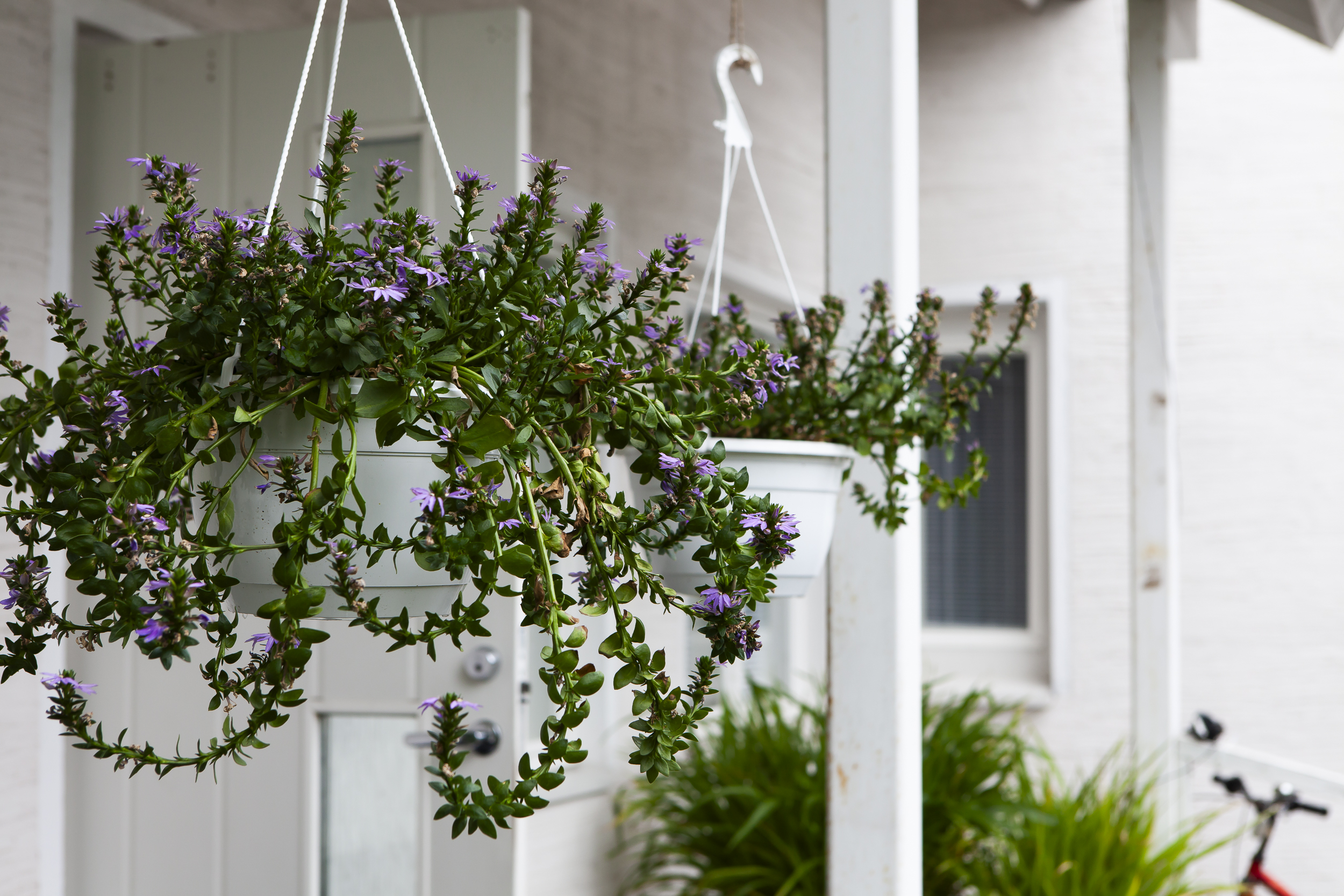 Solum Mielenterveys & Päihde Niittykoti