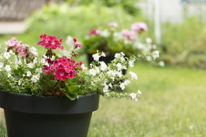 Solum erityistason lastensuojelun yksikkö Nuorisokoti Vanamo Vihti Nummela