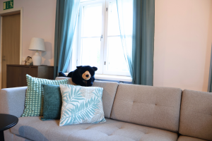 Solum Nuorisokoti Lehmus Hämeenlinna