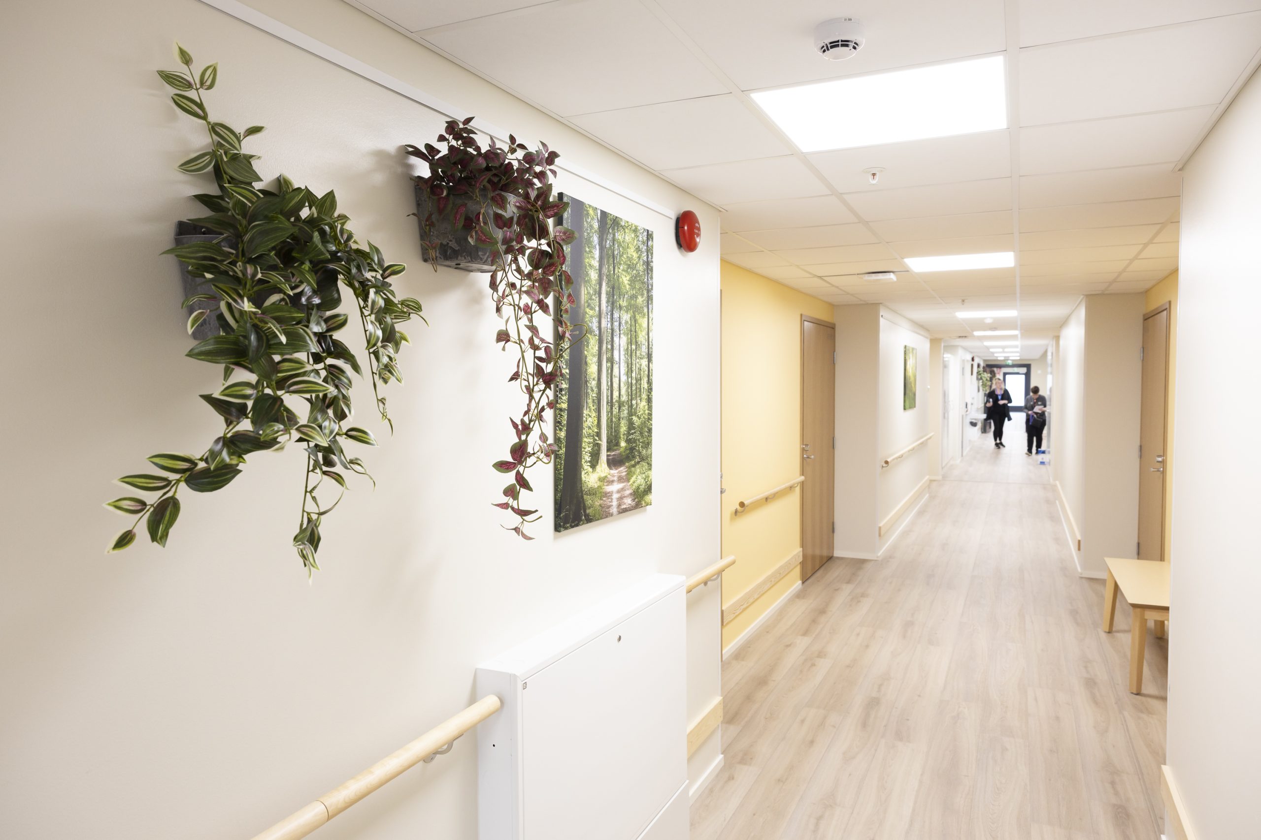 Solum Puistokoti Espoo